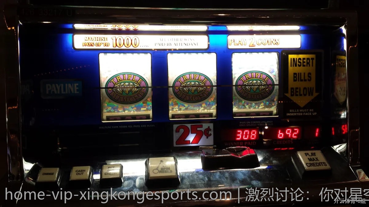 激烈讨论：你对星空体育的看法与评价是什么？