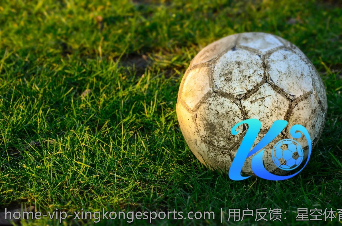 用户反馈：星空体育app在设计与功能上的评价