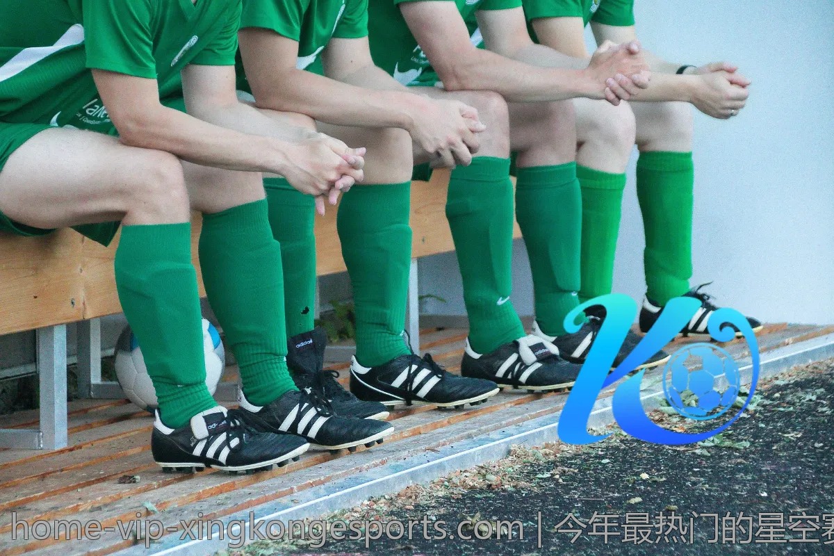 今年最热门的星空赛事直播入口汇总
