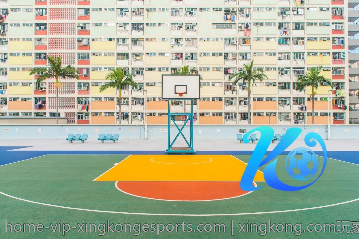 xingkong.com玩家社区：交流与分享的平台
